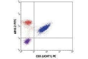 Flow Cytometry (FACS) image for anti-CD247 Molecule (CD247) antibody (FITC) (ABIN2661614) (CD247 antibody  (FITC))