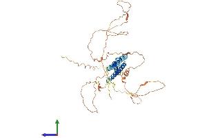 AlphaFold protein structure predicition of Human Recombinant BHLHE41 Protein, UniprotID Q9C0J9 (BHLHE41 Protein (AA 1-482) (His tag))