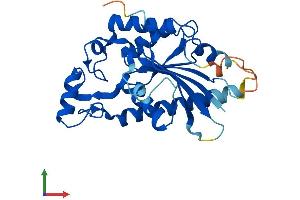 AlphaFold protein structure predicition of Human Recombinant TIGAR Protein, UniprotID Q9NQ88 (TIGAR Protein (AA 1-270) (His tag))