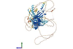 AlphaFold protein structure predicition of Human Recombinant USP45 Protein, UniprotID Q70EL2 (USP45 Protein (AA 1-814) (His tag))