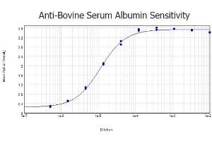 ELISA results of purified Rabbit anti-Bovine Serum Albumin Antibody tested against Bovine Serum Albumin. (BSA antibody)