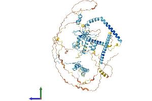 Protein Structure (PS) image for Squamous Cell Carcinoma Antigen Recognized By T Cells (SART1) (AA 1-800) protein (His tag) (ABIN7546331)