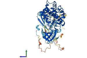 Protein Structure (PS) image for V-Akt Murine Thymoma Viral Oncogene Homolog 1 (AKT1) (AA 1-480) protein (His tag) (ABIN7552139)