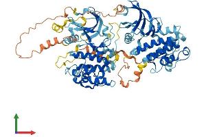 Protein Structure (PS) image for Ribosomal Protein S6 Kinase, 90kDa, Polypeptide 2 (RPS6KA2) (AA 1-733) protein (His tag) (ABIN7565223)
