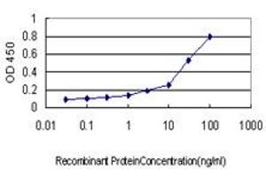 Detection limit for recombinant GST tagged RALGDS is approximately 0. (RALGDS antibody  (AA 793-902))