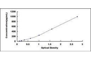 ELISA image for Bone Morphogenetic Protein 2 (BMP2) ELISA Kit (ABIN414153)