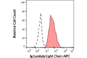 Separation of human Ig Lambda Light Chain positive B cells (red-filled) from human Ig Lambda Light Chain negative B cells (black-dashed) in flow cytometry analysis (surface staining) of human peripheral whole blood stained using anti-human Ig Lambda Light Chain (4C2) APC (10 μL reagent / 100 μL of peripheral whole blood). (Lambda-IgLC antibody  (APC))