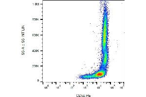Flow cytometry analysis (surface staining) of human peripheral blood cells with anti-CD58 (MEM-63) PE.