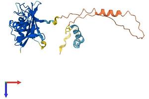 Protein Structure (PS) image for tRNA Selenocysteine 1 Associated Protein 1 (TRNAU1AP) (AA 1-287) protein (His tag) (ABIN7544750)
