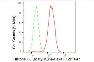 Flow cytometric analysis of Histone H3 (acetyl K36) expression in HAP-1 cells using Histone H3 (acetyl K36) antibody (ABIN7798951), 1:2,000).