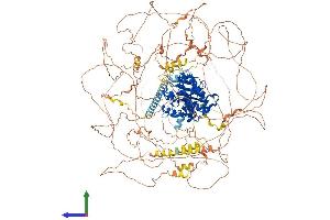 AlphaFold protein structure predicition of Mouse Recombinant Cdk13 Protein, UniprotID Q69ZA1