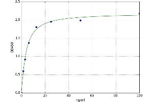 Glyoxalase I (GLO1) ELISA Kit