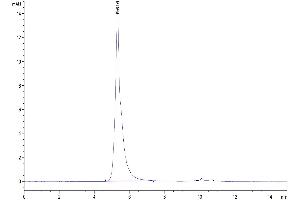 The purity of Biotinylated Human Siglec-10 is greater than 95 % as determined by SEC-HPLC. (SIGLEC10 Protein (Fc-Avi Tag,Biotin))