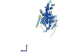 AlphaFold protein structure predicition of Human Recombinant GRK2 Protein, UniprotID P25098