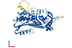 Protein Structure (PS) image for serpin Peptidase Inhibitor, Clade B (Ovalbumin), Member 13 (SERPINB13) (AA 1-389) protein (His tag) (ABIN7559258)