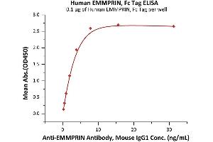 Immobilized Human EMMPRIN, Fc Tag (ABIN2180697,ABIN2180696) at 1 μg/mL (100 μL/well) can bind AIN Antibody, Mouse IgG1 with a linear range of 0. (CD147 Protein (AA 22-205) (Fc Tag))