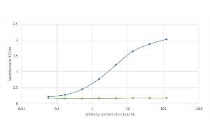 Binding curve of anti-CD155 antibody 3F1 (ABIN7072567) to recombinant mouse CD155 Fc-Fusion Protein. (Recombinant Poliovirus Receptor antibody)