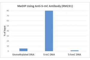 MeDIP was performed using recombinant 5mC antibody at a 2:1 DNA:Ab ratio. (Recombinant 5-Methylcytosine antibody)