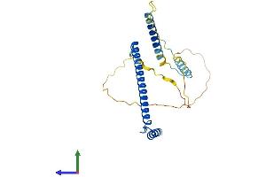 Protein Structure (PS) image for Coiled-Coil Domain Containing 59 (CCDC59) (AA 1-241) protein (His tag) (ABIN7544162)