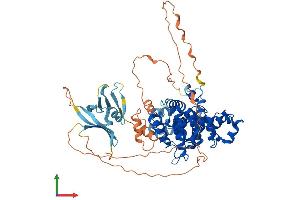Protein Structure (PS) image for TBC1 Domain Family, Member 17 (TBC1D17) (AA 1-648) protein (His tag) (ABIN7555750)