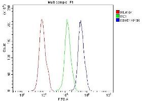 anti-Damage-Specific DNA Binding Protein 2, 48kDa (DDB2) (AA 1-115) antibody