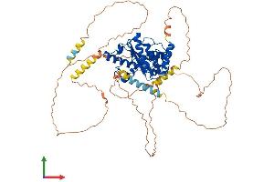 AlphaFold protein structure predicition of Human Recombinant SENP2 Protein, UniprotID Q9HC62