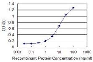 Detection limit for recombinant GST tagged GNL3 is 0. (Nucleostemin antibody  (AA 328-427))