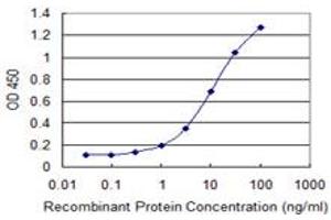 Detection limit for recombinant GST tagged GNL3 is 0. (Nucleostemin antibody  (AA 328-427))