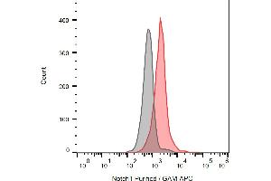 Separation of Jurkat cells stained using anti-Notch1 (mN1A) purified antibody (concentration in sample 16 μg/mL, GAM APC, red) from Jurkat cells unstained by primary antibody (GAM APC, black) in flow cytometry analysis (intracellular staining). (Notch1 antibody)