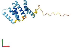 AlphaFold protein structure predicition of Human Recombinant FIS1 Protein, UniprotID Q9Y3D6