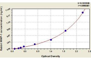 Typical Standard Curve (MMP1 ELISA Kit)