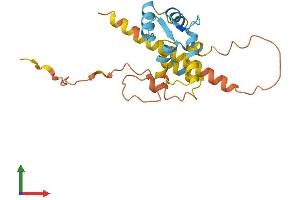 AlphaFold protein structure predicition of Human Recombinant CABP7 Protein, UniprotID Q86V35