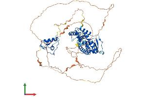 Protein Structure (PS) image for Nuclear Receptor Subfamily 4, Group A, Member 3 (NR4A3) (AA 1-627) protein (His tag) (ABIN7565165)