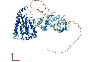 AlphaFold protein structure predicition of Human Recombinant LPCAT2 Protein, UniprotID Q7L5N7