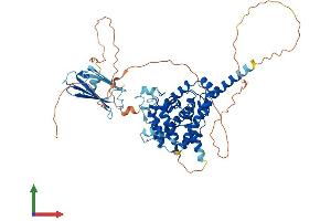 AlphaFold protein structure predicition of Mouse Recombinant Shq1 Protein, UniprotID Q7TMX5