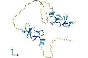 Protein Structure (PS) image for Cysteine-Rich Protein 2 (CRIP2) (AA 1-208) protein (His tag) (ABIN7546802)