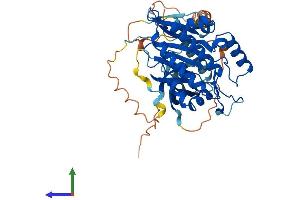 AlphaFold protein structure predicition of Human Recombinant IP6K2 Protein, UniprotID Q9UHH9