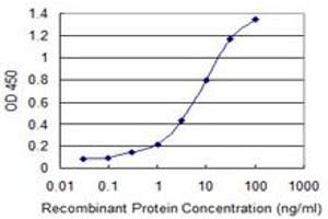 Detection limit for recombinant GST tagged CBX1 is 0. (CBX1 antibody  (AA 2-99))