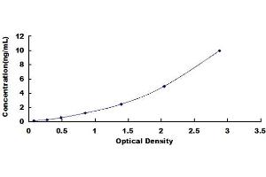 Typical standard curve (OPTN ELISA Kit)