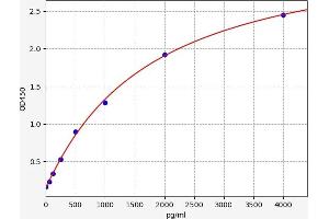 CKMT1A ELISA Kit