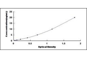 Typical standard curve (EXTL1 ELISA Kit)