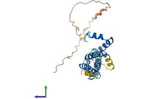 Protein Structure (PS) image for Transmembrane Protein 65 (TMEM65) (AA 1-240) protein (His tag) (ABIN7544491)