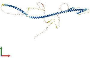 Protein Structure (PS) image for Basic Leucine Zipper Nuclear Factor 1 (BLZF1) (AA 1-403) protein (His tag) (ABIN7559713)