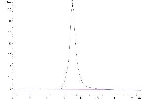 The purity of Human IL-1 Rrp2 is greater than 95 % as determined by SEC-HPLC. (IL1RL2 Protein (AA 20-335) (His-Avi Tag))