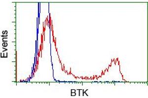 Image no. 6 for anti-Bruton Agammaglobulinemia tyrosine Kinase (BTK) antibody (ABIN1496976) (BTK antibody)