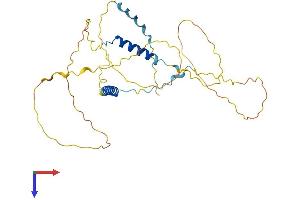 Proline Rich 18 (PRR18) (AA 1-307) protein (His tag)