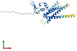 AlphaFold protein structure predicition of Mouse Recombinant Arv1 Protein, UniprotID Q9D0U9 (ARV1 Protein (AA 1-266) (His tag))