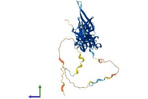 AlphaFold protein structure predicition of Human Recombinant ARRDC2 Protein, UniprotID Q8TBH0