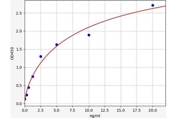 PRKAB1 ELISA Kit