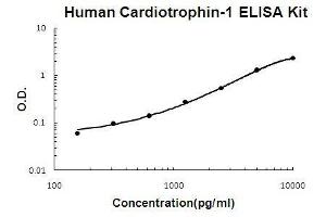 Human Cardiotrophin-1 PicoKine ELISA Kit standard curve (Cardiotrophin 1 ELISA Kit)